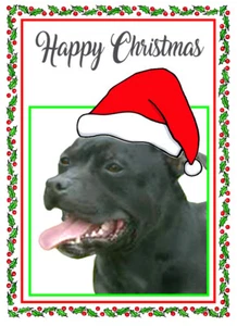 Staffy Bullterrier Hund Weihnachtsmütze Qualität glänzend Weihnachtskarte 8"x 6" KOSTENLOSER VERSAND - Bild 1 von 2