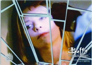 Buffy the Vampire Slayer The Story Continues Shattered S7 Normal Again Ikon 2003