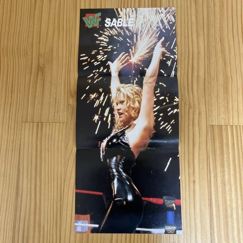 Wrestling Poster Sable Japan KA Cover