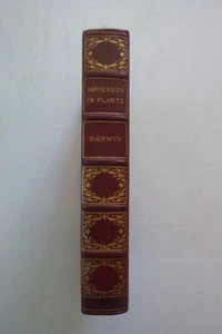 Power of Movement in Plants von Charles Darwin (gebunden, limitiert & nummeriert) - Bild 1 von 6