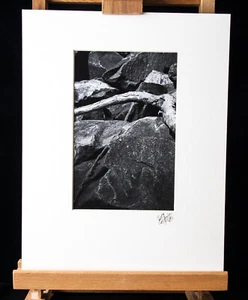 Juego de 2 fotografías de paisajes en blanco y negro costa de Oregón 11 X 14 - Imagen 1 de 8