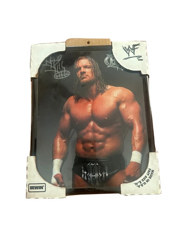 Vintage 1998 triple H WWF Wrestling Picture Framed Poster NO Glass Cover