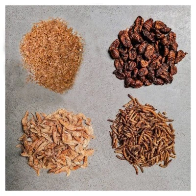 Seidenraupen Mehlwürmer Gammarus Garnelen Beutel Mehr-Sorten-Mix getrocknet 1 kg - Bild 1 von 4