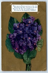 Postal Pretty Deep Blue Violet Kissed By Dew Woo'd By Gale c1911 - Imagen 1 de 2