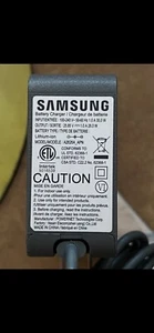 Cargador OEM para aspiradora con varilla inalámbrica SAMSUNG Jet 60 Fit VS15A6031N5 - Imagen 1 de 4