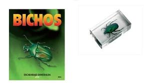 2. Emerald Beetle - Japan and fascicle, INSECTS PRESERVED IN PLASTIC RESIN - Picture 1 of 10