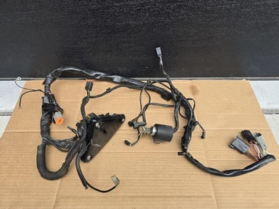 Harley 100TH Sportster 883 y 1200 2003 arnés de cableado principal personalizado con llave Foto 1 de 4