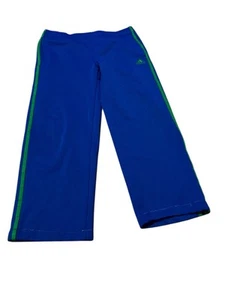 Adidas Boys Blue/Green Athletic Drawstring Sweatpants Size Xl - Picture 1 of 7