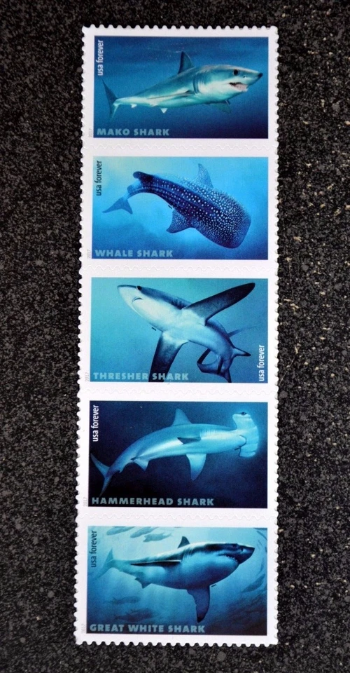 2017 EE. UU. #5223-5227 Forever - Tiburones - Tira de 5 como nueva (como en la foto) Foto 1 de 1