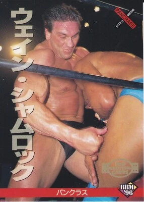 KEN SHAMROCK - 1996 BBM Japanese Pancrase Hybrid Wrestling Card #181- 2nd Card - Image 1 of 2