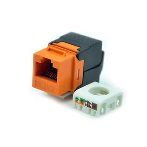 1PCS Gigabit RJ45 CAT6 Keystone Jacks Module Tool-free Connection AU - Picture 1 of 6