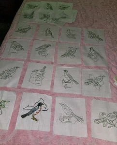 48 VTG Stamped Muslin State Bird Blocks Only 2 Completed 46 Need Embroidery - Picture 1 of 19