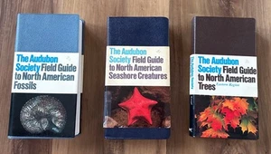 Audubon Society Field Guide Lot Of 3 Fossils Seashore Creatures Trees Vtg 80s - Imagen 1 de 12