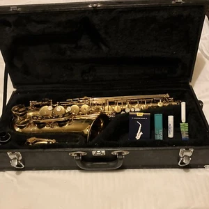Sassofono Strauss con custodia rigida - Foto 1 di 8