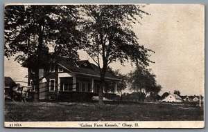 Postcard Olney Illinois 1908 Galena Farm Kennels Dogs CDS Duplex Cancel Amboy MN - Picture 1 of 2