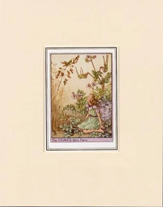 STÖRCHE BILL BLUMENFEE Original Vintage 1940er Cecily Mary Barker Druck montiert - Bild 1 von 1