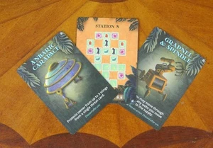 Forbidden Jungle Confezione 3 Carte Promo Gioco da Tavolo Espansione Bonus Traversa - Foto 1 di 1