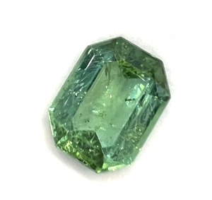 Grüner Turmalin Achteckform natürlicher Turmalin Edelstein 7,97 crt 14,5x10,5x6,5 mm - Bild 1 von 4