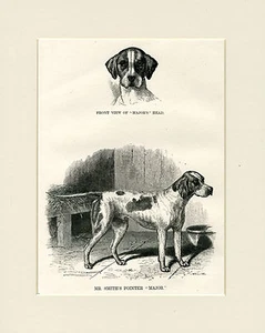 ZEIGER SELTEN ALT ANTIK 1867 BENANNTER HUND DRUCK GRAVUR FERTIG MONTIERT - Bild 1 von 1
