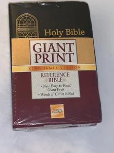 KJV KING JAMES VERSION GIANT PRINT BIBLE NELSON REGENCY (1991) - Foto 1 di 6