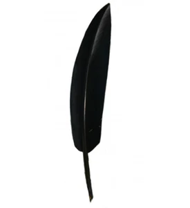 PENNA NERA NATURALE DI PRIMA SCELTA PER CAPPELLO ALPINO DA TRUPPA - Imagen 1 de 1