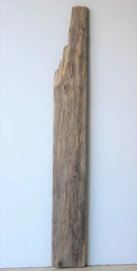 Madera flotante Driftwood 1 XXL tablero terrario decoración estante 111 cm - Imagen 1 de 12