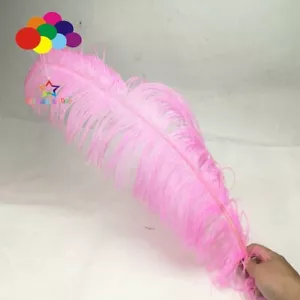 10 pcs 45-50 cm/18-20 inch Hard Rod high quality Ostrich Feathers Party Plumas - Picture 1 of 35