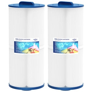 2 Pack Pool Spa Hot Tub Filter Replace for PJW60TL-F2S 6CH-960 FC-2800 J300 J400 - Picture 1 of 7