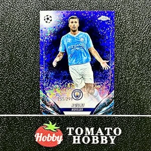 TOPPS CROMO UEFA 2023-24 RODRI/299 REFRACTOR MOTEADO VIOLETA MCI - Imagen 1 de 2