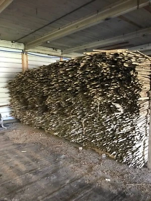 Primitive Antique Tobacco Sticks from Kentucky Farms - Image 1 of 4