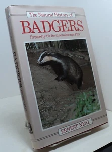 The Natural History of Badgers by Ernest Neal - British badgers - Picture 1 of 2