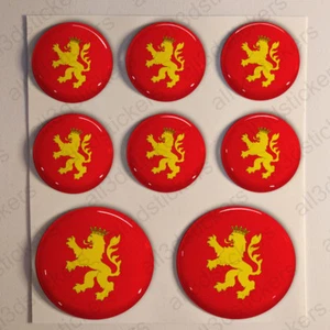 Pegatinas Zaragoza Pegatina Bandera Zaragoza Resina Vinilo Relieve España 3D - Imagen 1 de 1