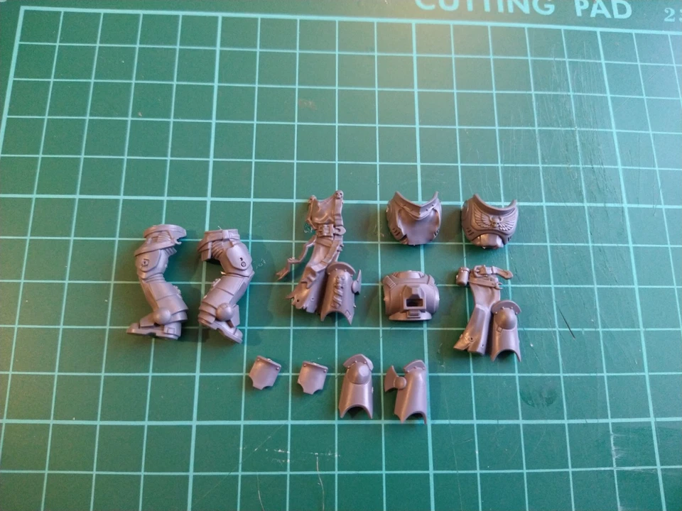 Black Templars Crusaders Legs and Torsos (bits)