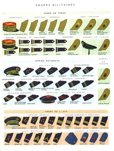 Dokument altes Brett Militärgrade - Uniformen aus Buch 1967 - Bild 1 von 2
