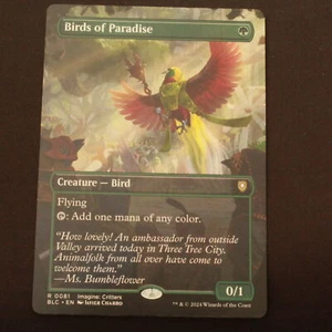 Birds of Paradise Borderless MTG Commander: Bloomburrow Rare 81 NM - Picture 1 of 6