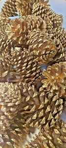 15 piñas naturales pintadas de oro - Imagen 1 de 6