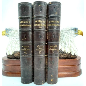 American Ornithology Wilson & Bonaparte Vol 1, 2 & 3 Set Year Published 1878 HB - Imagen 1 de 24