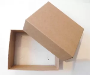 Insect Specimen Mailer - Box for Shipping Pinned Insects - Entomology - Picture 1 of 4