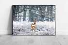 Roe Deer Buck Heading Into Snowy Dutch Heather Woodland Forest Netherlands