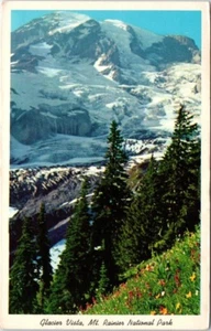 Washington WA Postcard Glacier Vista Mt. Rainier National Park Wild Flowers - Picture 1 of 2