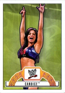 Topps Heritage IV WWE 2008 - inserto de superestrellas Ringside #R15 Candice - Imagen 1 de 2