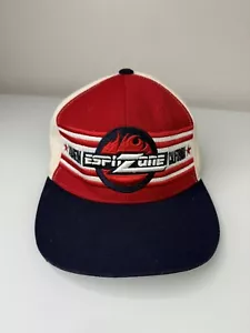 ESPN Zone Anaheim California Adjustable Hat Cap Vintage 90’s Y2K Sports TV - Picture 1 of 11