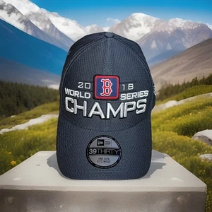 Boston Red Sox New Era 2018 World Series Champions Hat Cap Baseball MLB Gray New - Picture 1 of 24