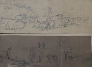 Antique Drawings Pencil 19th century Cows, Animal, Bulls - Picture 1 of 8