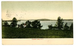 Postal coloreada a mano Copake Lake NY - VISTA DE PÁJARO DEL LAGO - - Imagen 1 de 1