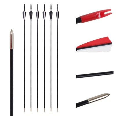 6pcs 31in Fiberglass Arrows Recurve Straight Bow Practice Arrows Outsourcing - Image 1 of 4