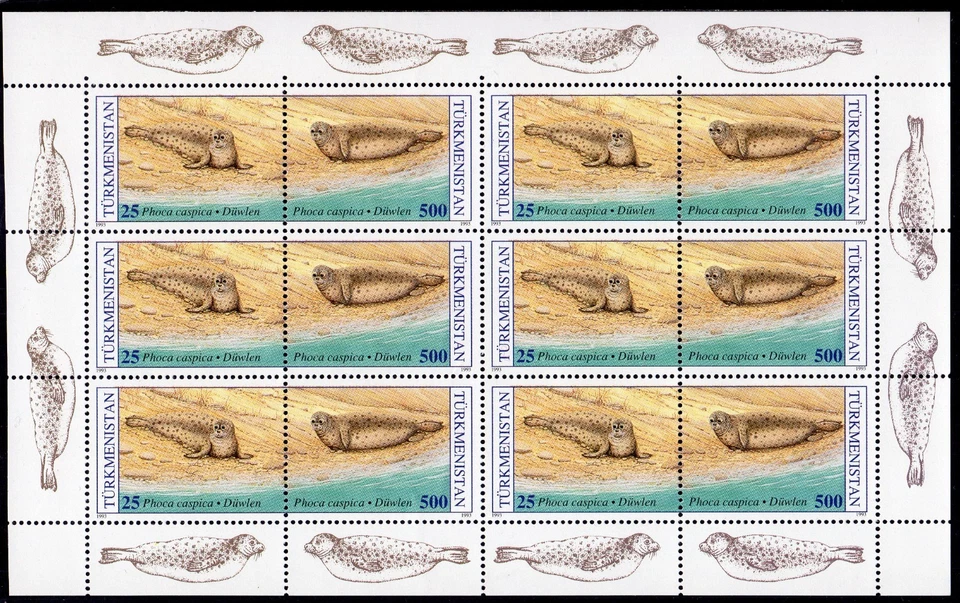 Turkmenistán 1993 Sc#34 WWF/w Logo Phoca Caspica Mini-Hoja "GOMA MATE" PERF.MNH Foto 1 de 1