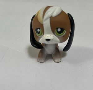 Lps 2004 White/Brown Beagle Dog With Black Ears - Picture 1 of 5