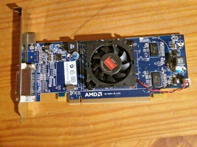 AMD Radeon HD 6350 512 MB DDR3 PCIe x16 Full Height DMS-59 Video Card  - Image 1 of 4