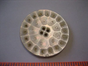 Vintage 1-3/8" Lathed MOP Mother Of Pearl Shell Button - O13 - Picture 1 of 5